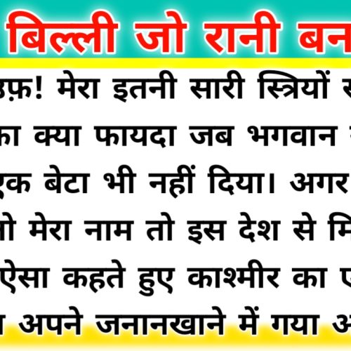 एक बिल्ली जो रानी बन गयी